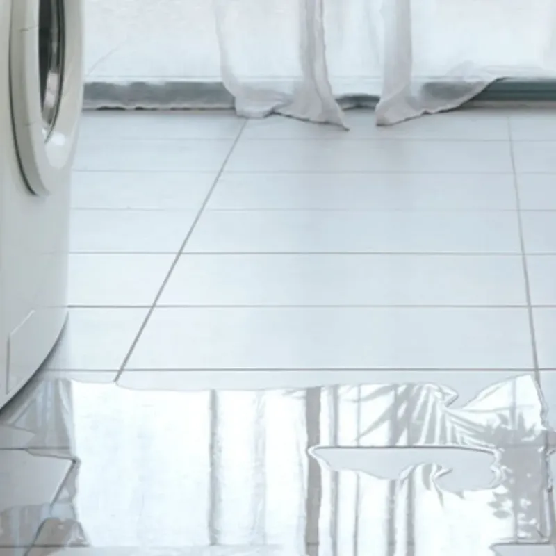Appliance Leak Cleanup in Tabor City, NC