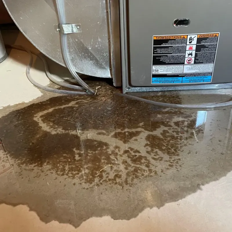 Pipe Burst and Leak Restoration in Tabor City, NC