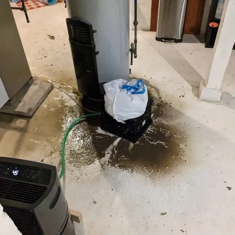 Sewage Backup Cleanup Service in Tabor City, NC